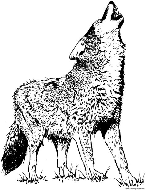 cute easy wolf coloring pages